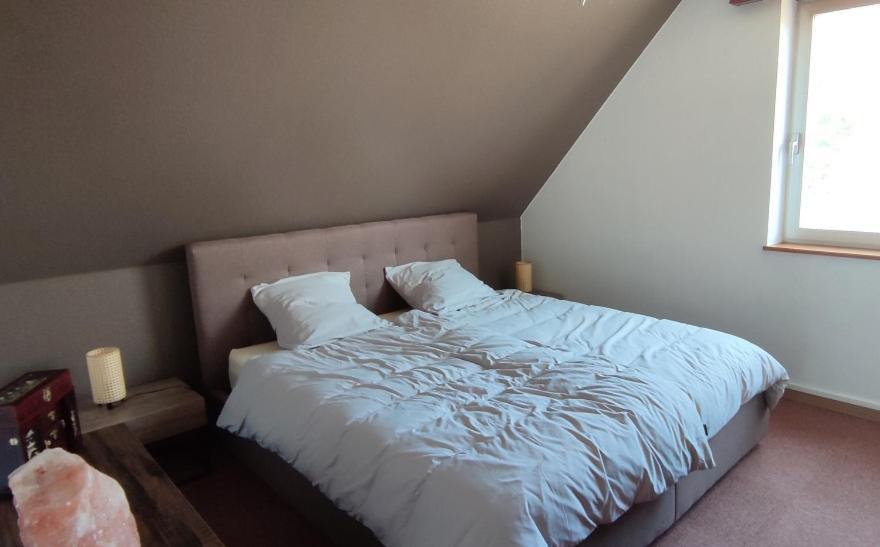 Ferienwohnung Le Strasbourgeois Illkirch-Graffenstaden Exterior foto